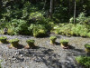 Landart 11.jpg