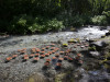 Landart 2.jpg