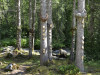 Landart 3.jpg