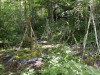 Landart 6.jpg