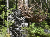 Landart 10.jpg