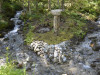 Landart 12.jpg